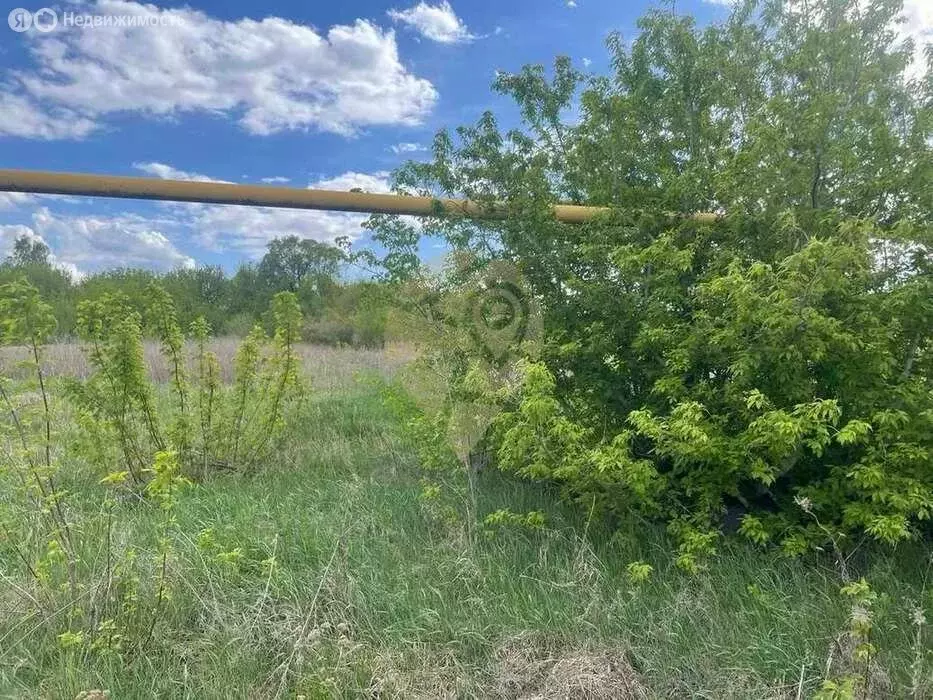 Участок в Старооскольский городской округ, село Хорошилово (15 м) - Фото 0