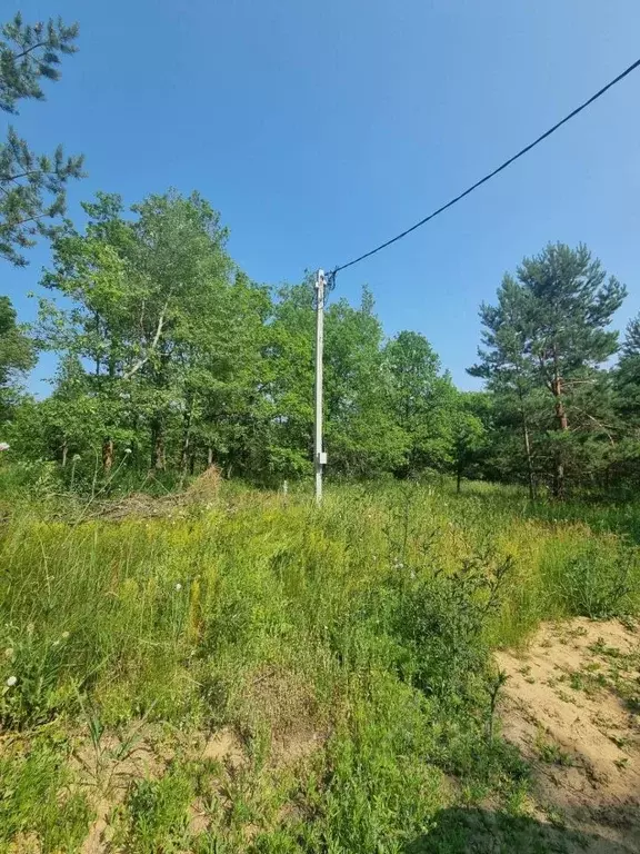 Участок в Самарская область, Красноярский район, с. Старая Бинарадка ... - Фото 2