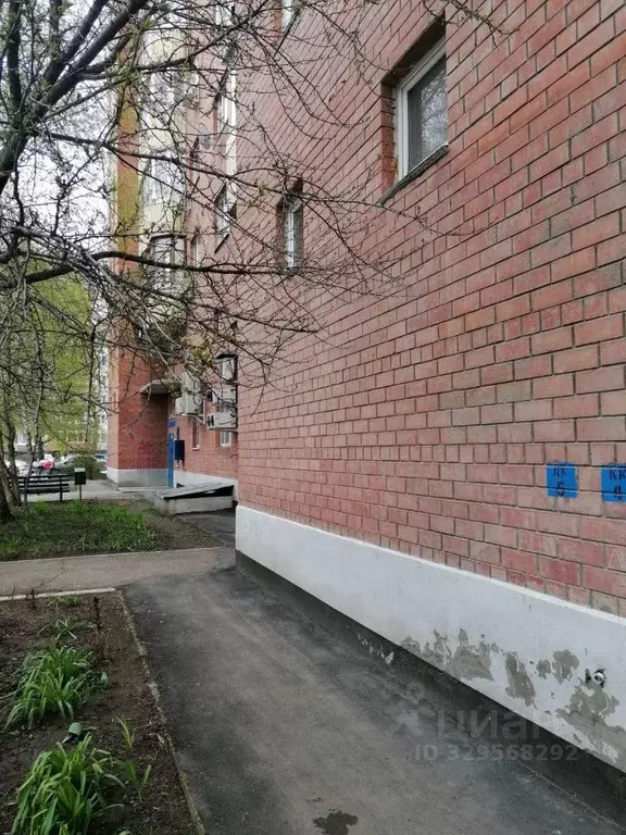 Студия Самарская область, Тольятти ул. Ворошилова, 15 (23.5 м) - Фото 2