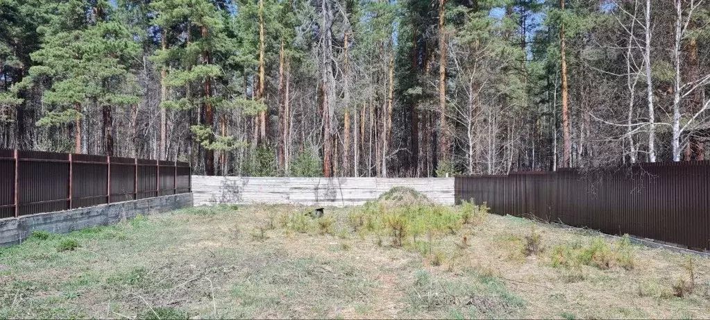 Участок в Иркутская область, Иркутский муниципальный округ, с. ... - Фото 1