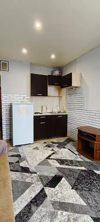 Студия Новосибирская область, Новосибирск ул. Виктора Уса, 13 (19.0 м) - Фото 2