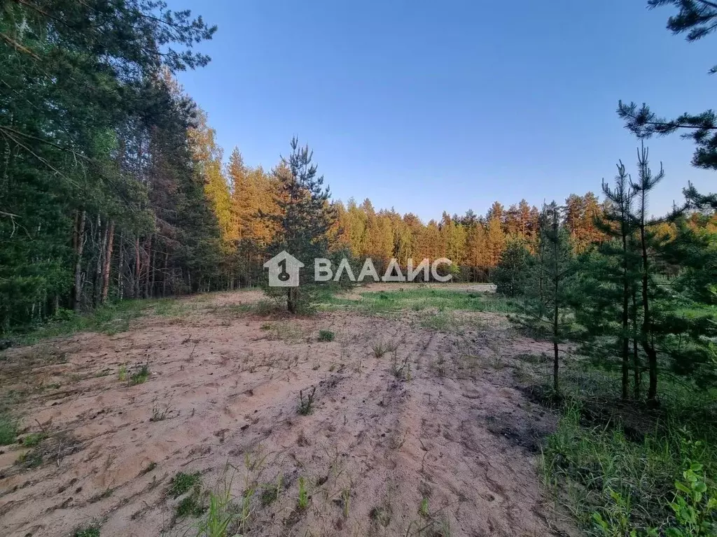 Участок в Владимирская область, Судогодский район, д. Ладога, Ладога ... - Фото 1
