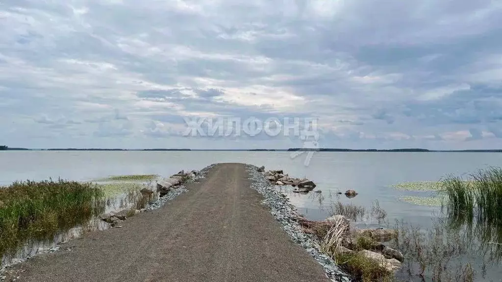 Участок в Новосибирская область, Ордынский район, Порт Пичуги кп ул. ... - Фото 0