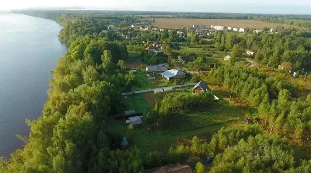 Участок в Нижегородская область, Чкаловск муниципальный округ, д. ... - Фото 0