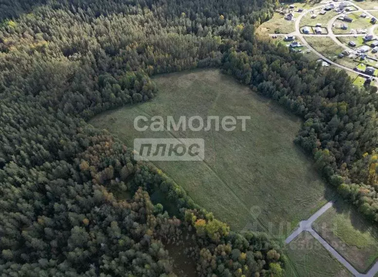 Участок в Ленинградская область, Приозерский район, Красноозерное ... - Фото 1