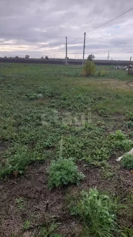 Участок в Ростовская область, Азовский район, Обильненское с/пос, ... - Фото 1