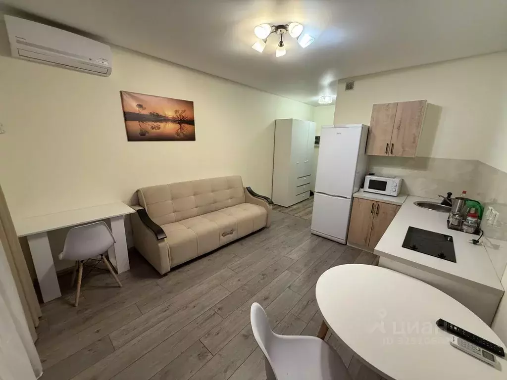 Студия Москва Внуковское поселение, ул. Анны Ахматовой, 11к3 (24.7 м) - Фото 1