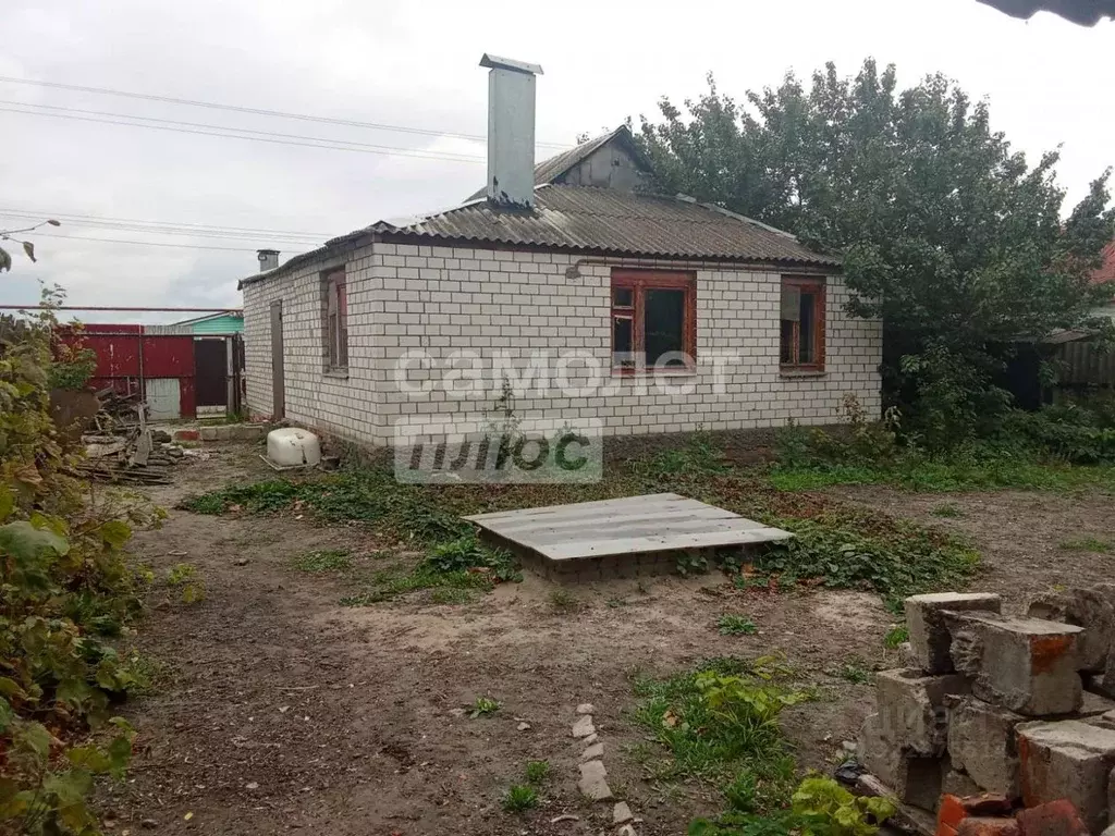 Дом в Курская область, Октябрьский район, Прямицыно муниципальное ... - Фото 1