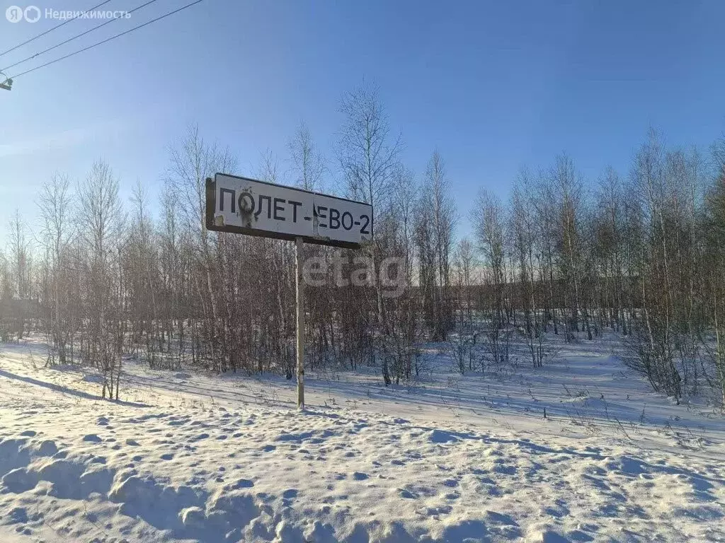 Участок в Полетаевское сельское поселение, деревня Полетаево II-е ... - Фото 0