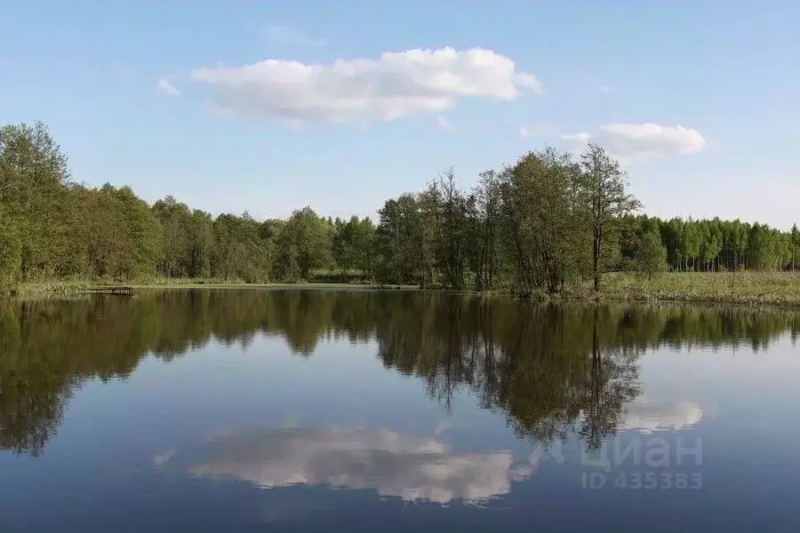 Участок в Тульская область, Ясногорский район, Теляковское ... - Фото 1