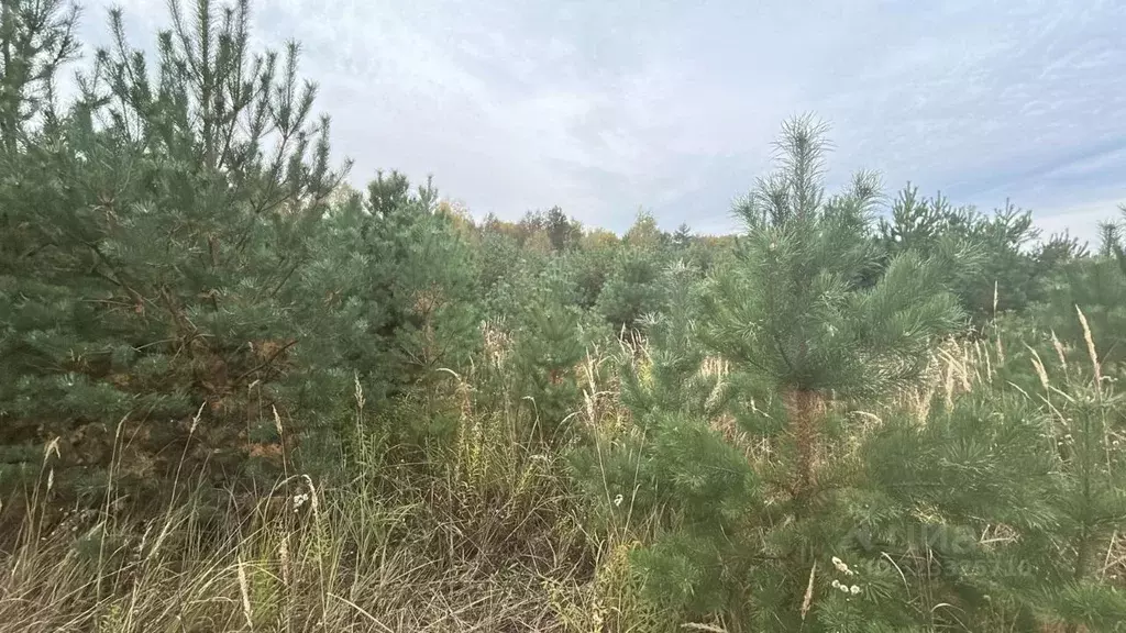 Участок в Московская область, Ступино пер. 2-й Знаменский (10.0 сот.) - Фото 1