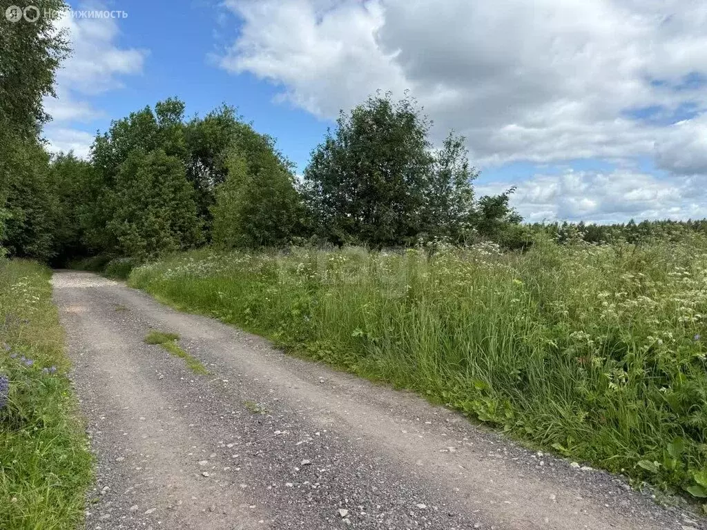 Участок в Костромская область, посёлок городского типа ... - Фото 1