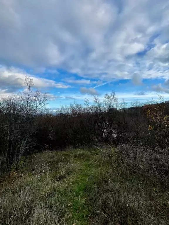 Участок в Крым, Ялта муниципальный округ, Виноградное пгт ул. Красина, ... - Фото 2