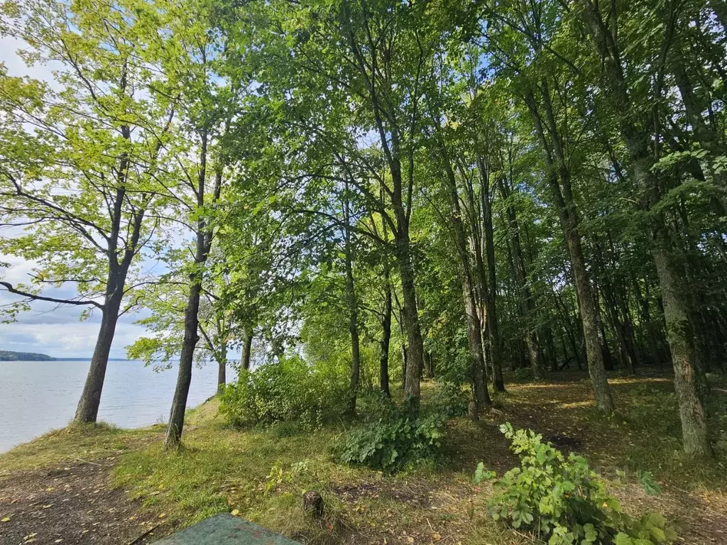 Коттедж в Московская область, Рузский городской округ, пос. Дома ... - Фото 1