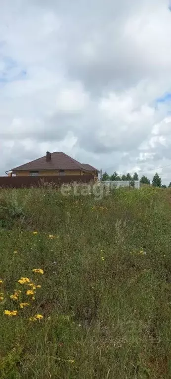 Участок в Башкортостан, Благовещенский район, Николаевский сельсовет, ... - Фото 0