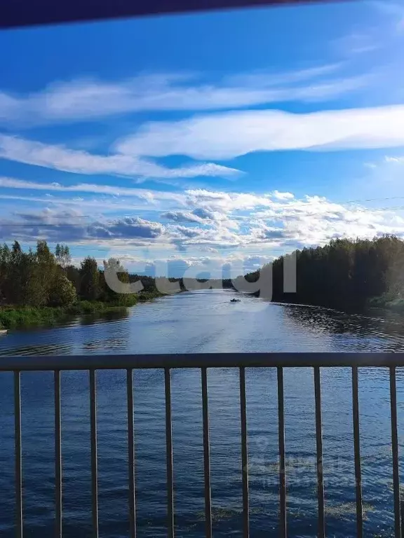 Участок в Костромская область, Костромской муниципальный округ, ... - Фото 1