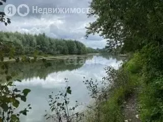 Участок в Колыванский район, ДНТ Сибирская Волость (9 м) - Фото 0