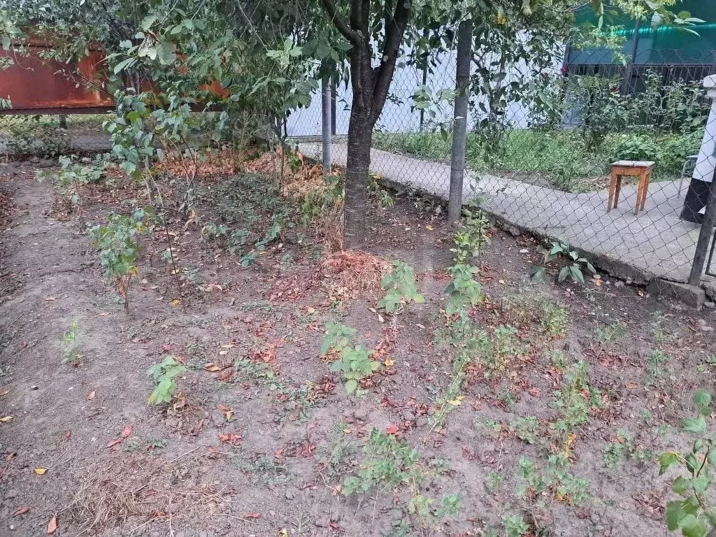Участок в Адыгея, Майкоп ул. Ломоносова (6.5 сот.) - Фото 2