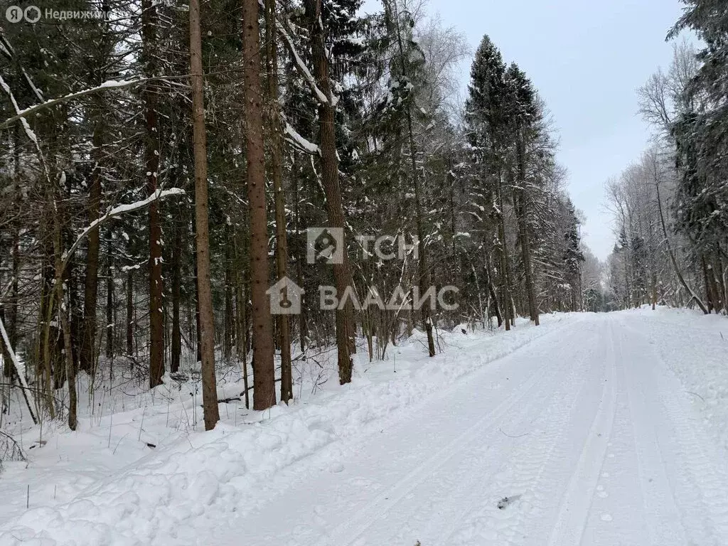 Участок в Дмитровский городской округ, деревня Сазонки, коттеджный ... - Фото 1