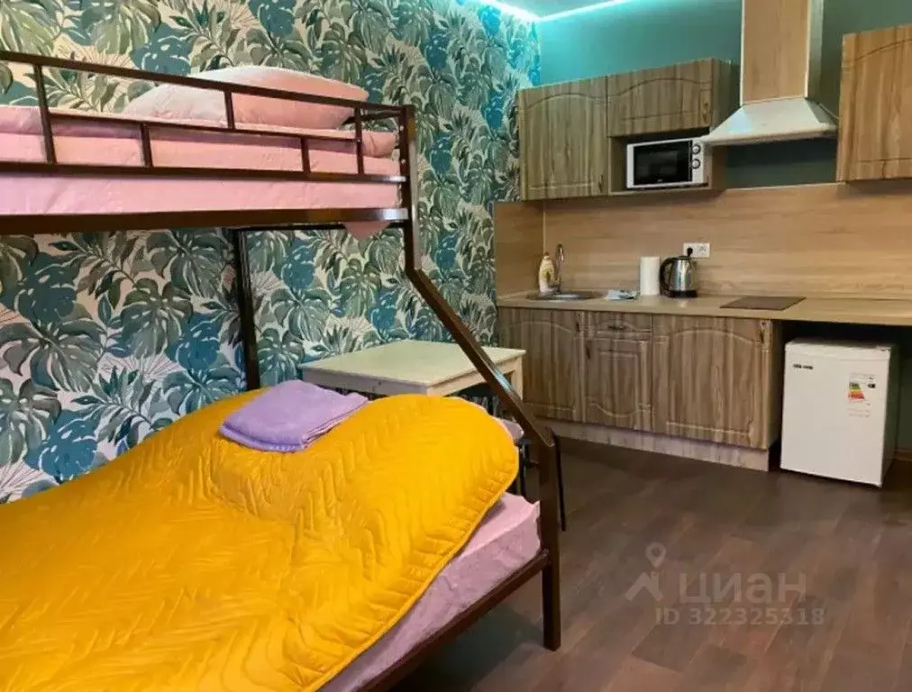 1-к кв. Московская область, Мытищи Трудовая ул., 6 (23.0 м) - Фото 1