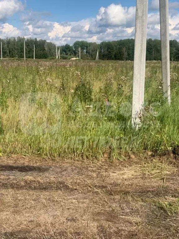 Участок в Тюменская область, Нижнетавдинский район, с. Велижаны ... - Фото 1