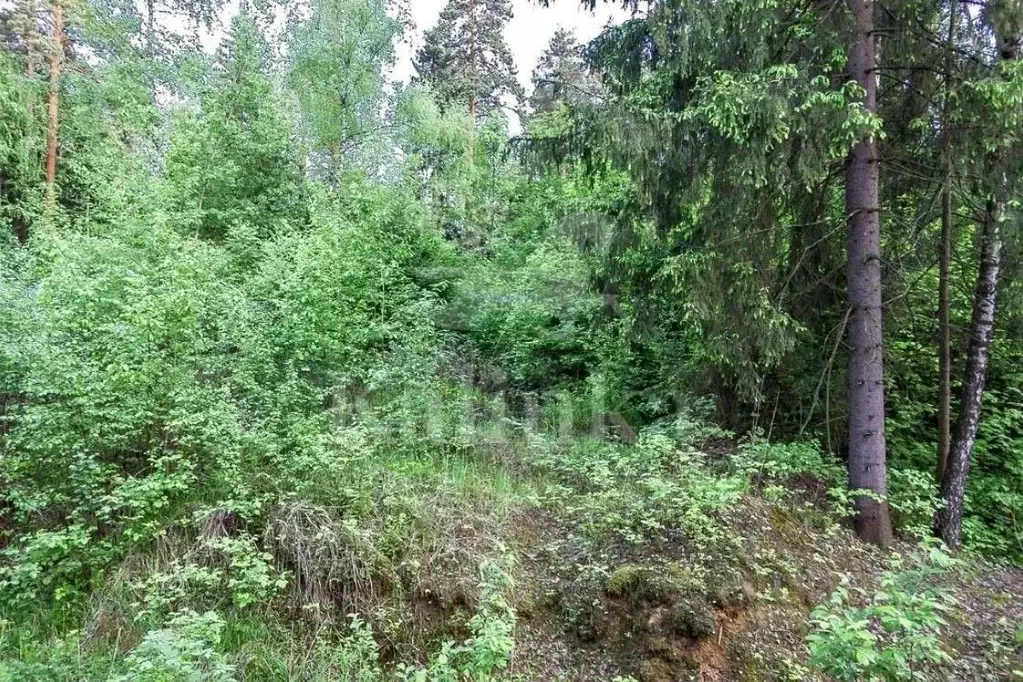 Участок в Московская область, Одинцовский городской округ, пос. ... - Фото 0