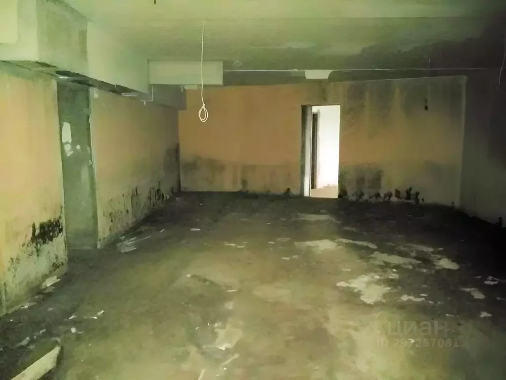 Офис в Брянская область, Брянск ул. Ромашина, 39 (530 м) - Фото 2