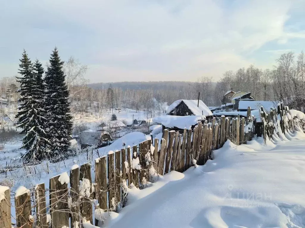 Участок в Новосибирская область, Новосибирский район, Раздольненский ... - Фото 1