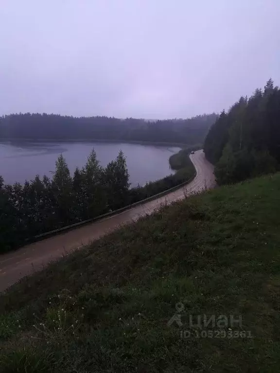 Участок в Псковская область, Пушкиногорский район, Велейская волость, . - Фото 0