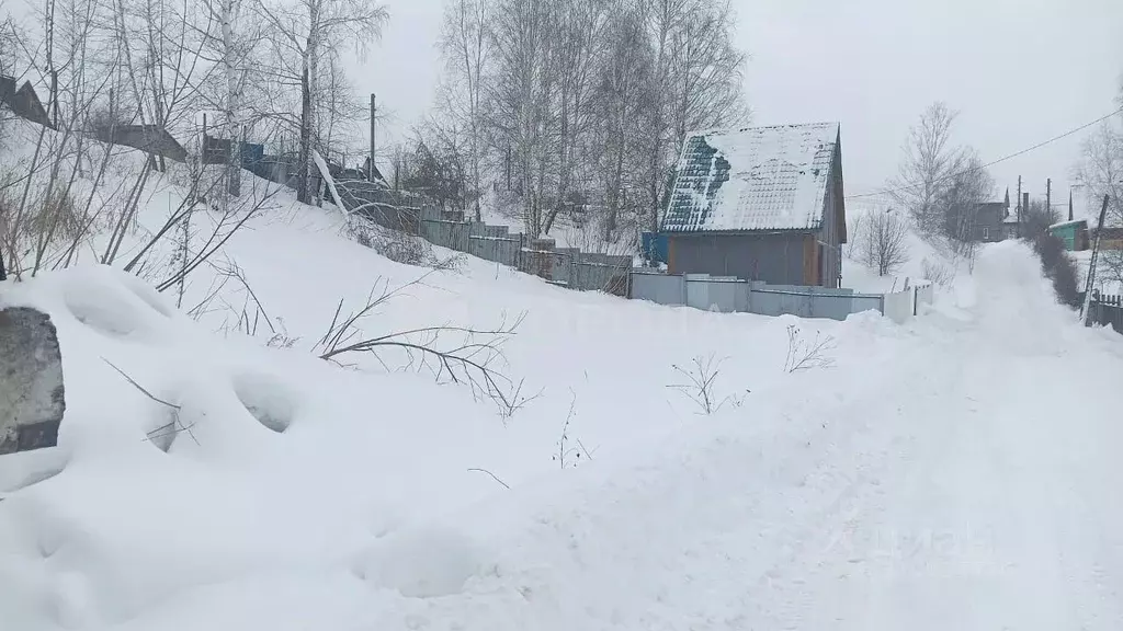 Участок в Новосибирская область, Новосибирский район, Каменский ... - Фото 0