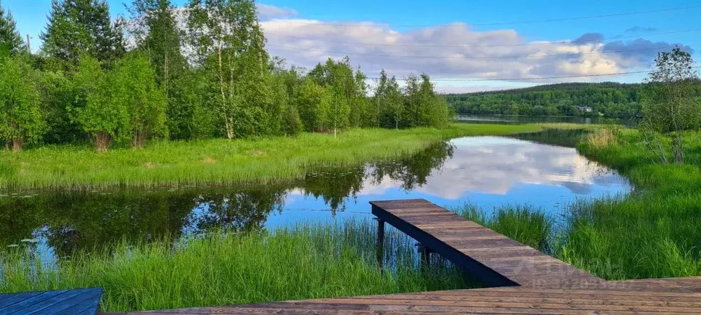 Дом в Карелия, Прионежский район, Заозерское с/пос, д. Ялгуба ул. ... - Фото 0