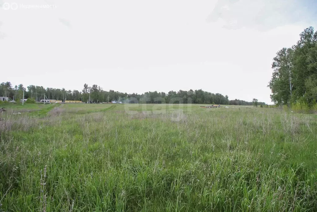 Участок в Алтайский край, городской округ Барнаул, посёлок Центральный ... - Фото 1