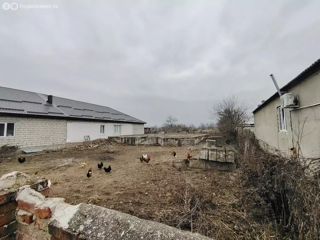 Участок в село Шалушка, улица Апажева, 52А (25 м) - Фото 2