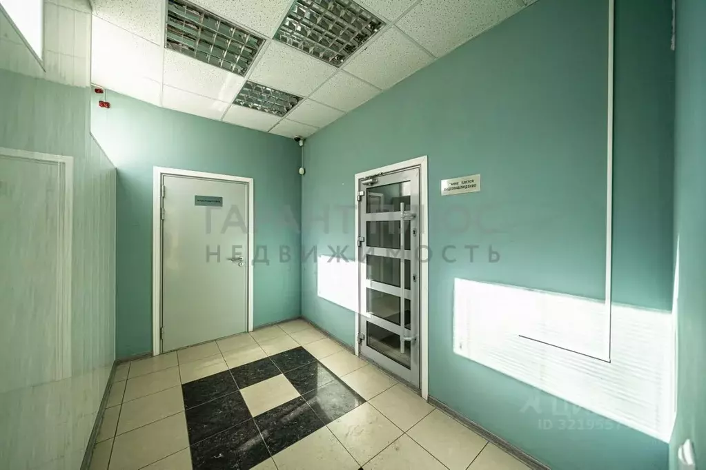 Офис в Липецкая область, Липецк ул. Л. Толстого, 2 (215 м) - Фото 1