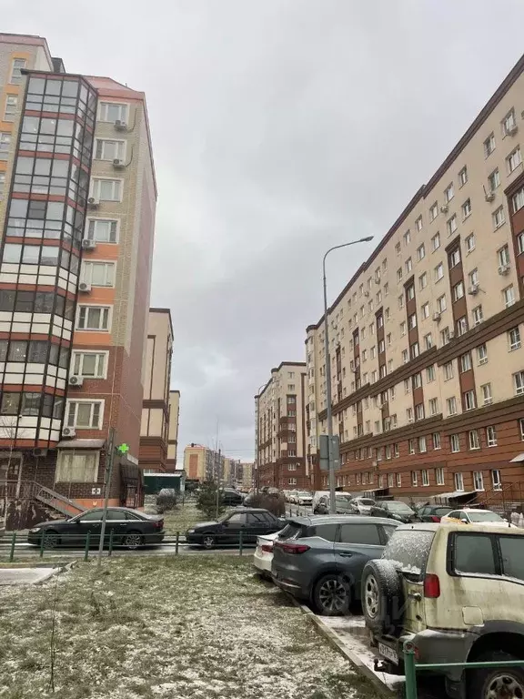 1-к кв. Московская область, Ленинский городской округ, Лопатино пгт ... - Фото 2