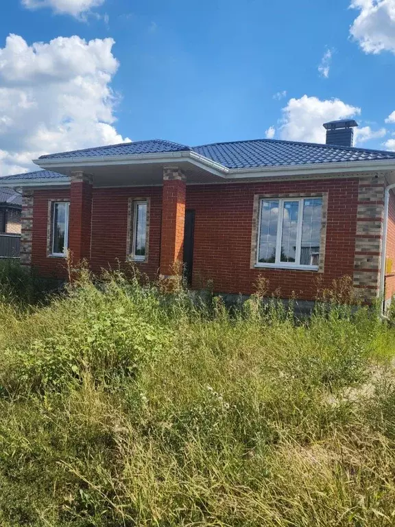 Дом в Воронежская область, Новоусманский район, с. Бабяково ул. ... - Фото 1