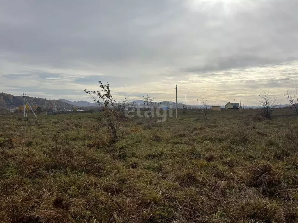 Участок в Алтайский край, Алтайский район, Айский сельсовет, ... - Фото 1