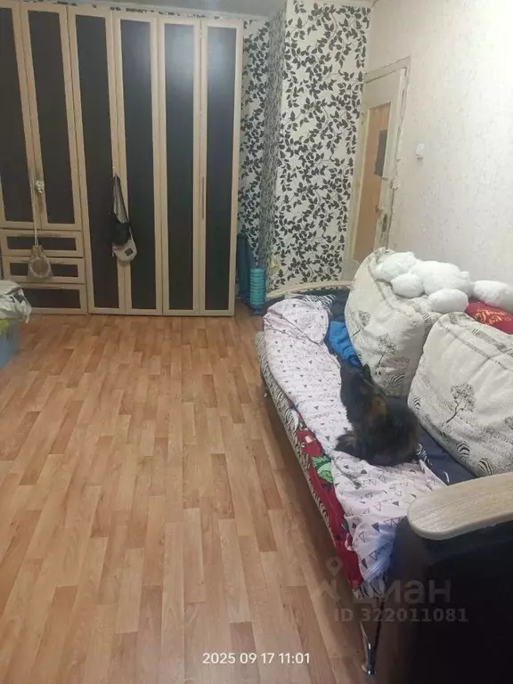 3-к кв. Нижегородская область, Нижний Новгород ул. Головнина, 43 (63.7 ... - Фото 1