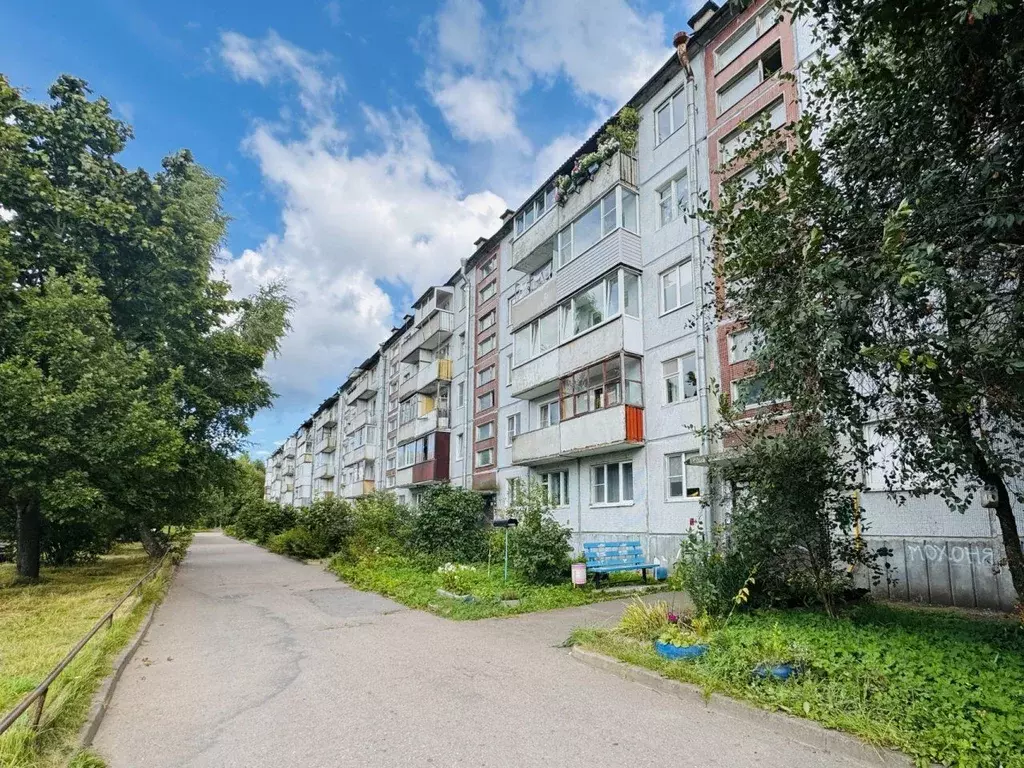 3-к кв. Ленинградская область, Выборгский район, Советское городское ... - Фото 1