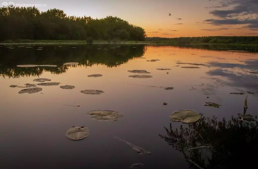 Участок в Шиховское сельское поселение, деревня Пантелеевы, Дачная ... - Фото 0