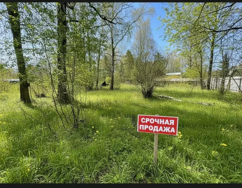 Участок в Московская область, Пушкинский городской округ, ... - Фото 1