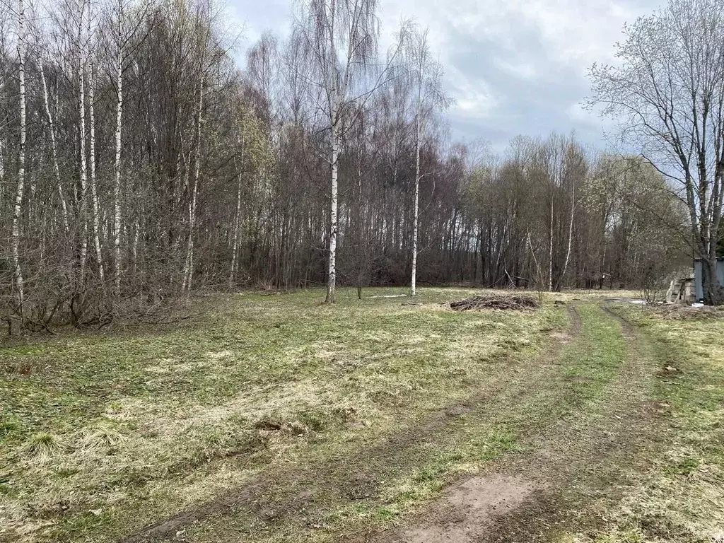 Участок в Московская область, Рузский муниципальный округ, д. Грязново ... - Фото 1