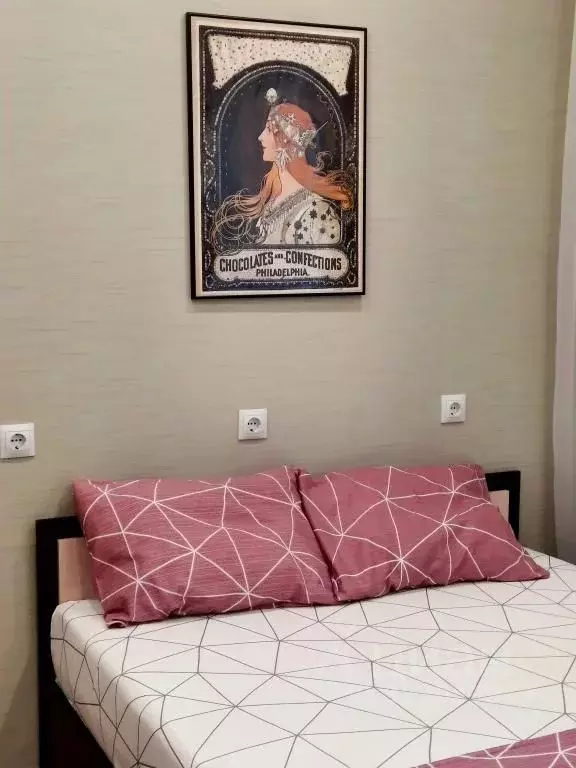 1-к кв. Амурская область, Благовещенск Кузнечная ул., 84 (28.0 м) - Фото 1