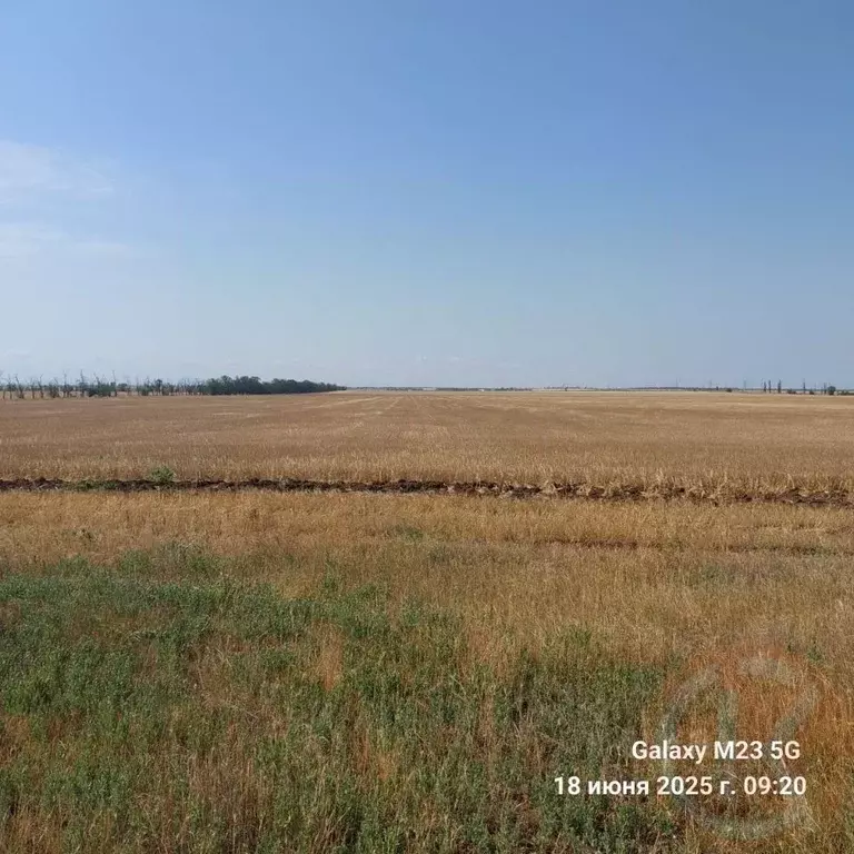 Участок в Крым, Черноморский район, с. Новоивановка  (6.24 сот.) - Фото 0