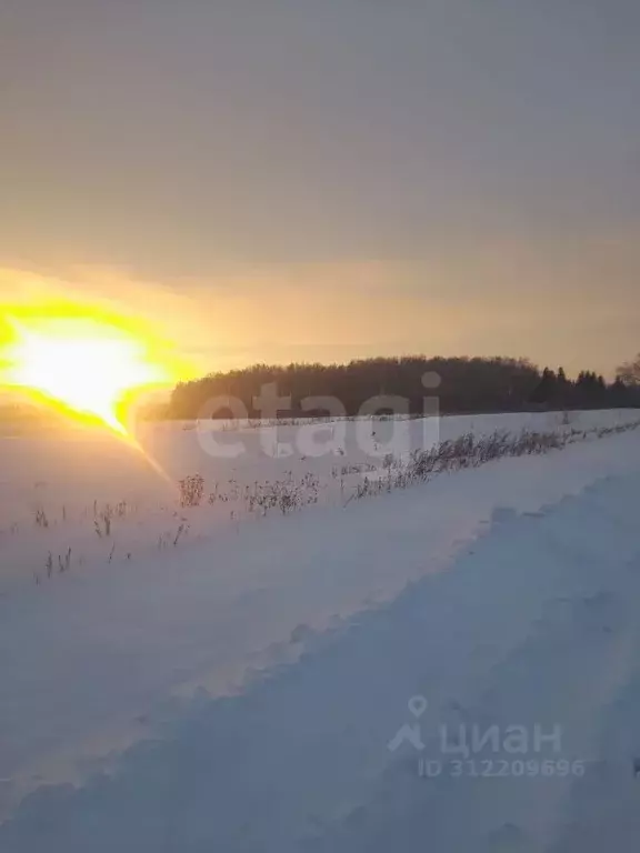 Участок в Омская область, Омский район, с. Пушкино ул. 30 лет Победы, ... - Фото 1