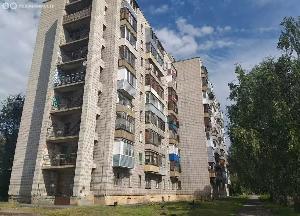 1-комнатная квартира: Барнаул, улица Советской Армии, 163А (28.1 м) - Фото 1