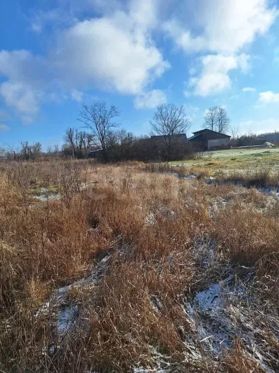 Участок в Воронежская область, Новоусманский район, Хреновское с/пос, ... - Фото 1