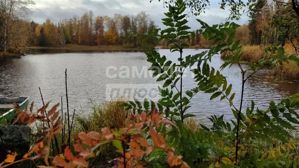 Участок в Ленинградская область, Приозерский район, Мельниковское ... - Фото 1