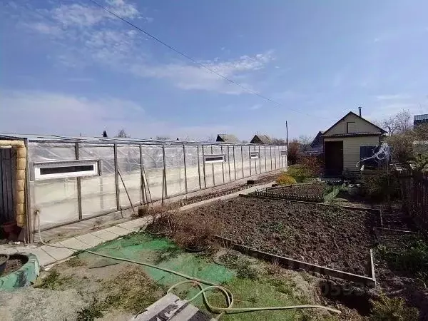 Дом в Курганская область, Курган Надежда СНТ,  (53 м) - Фото 2