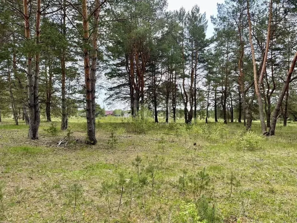 Участок в Калужская область, Дзержинский муниципальный округ, Дворцы ... - Фото 2